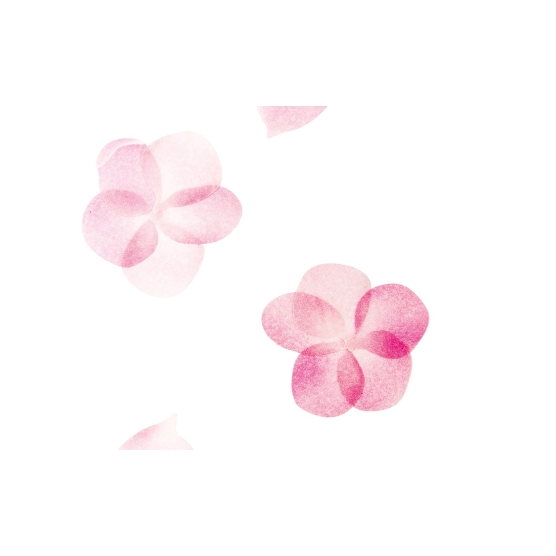 Flower tape Sakura 2