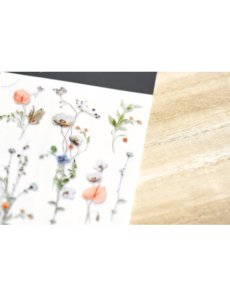 2 Pegatinas transferibles MU N160