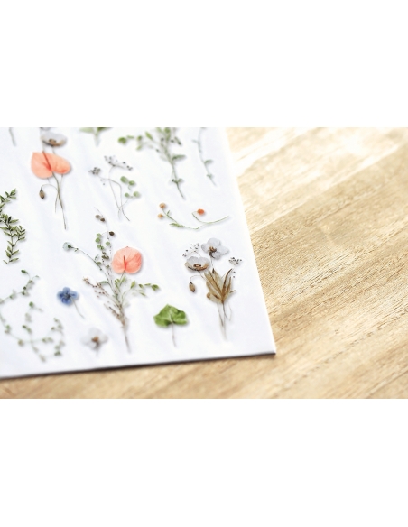 2 Pegatinas transferibles MU N160