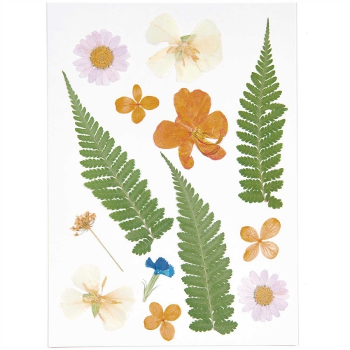 Mix set violet orange (13pcs) - (flores prensadas)