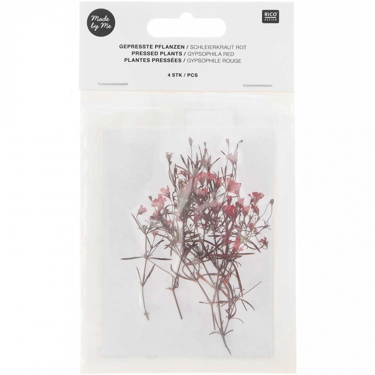 gypsophila red (4pcs) - (flores prensadas)