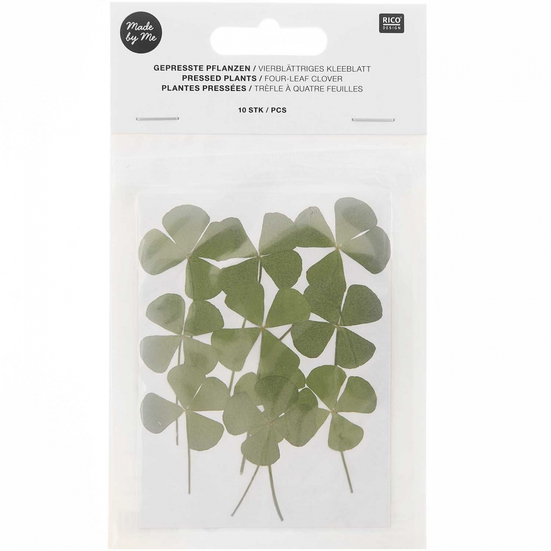 four-leaf clover (10pcs) - (flores prensadas)