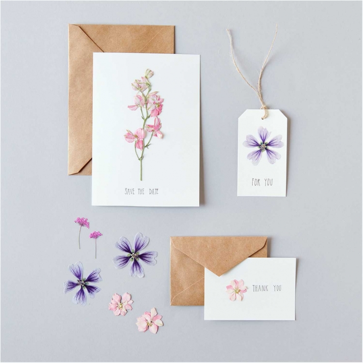 Hollyhock violet (8pcs) - (flores prensadas)