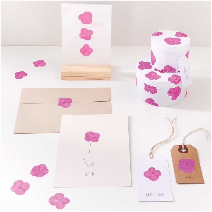 Hydrangea pink (9pcs) - (flores prensadas)