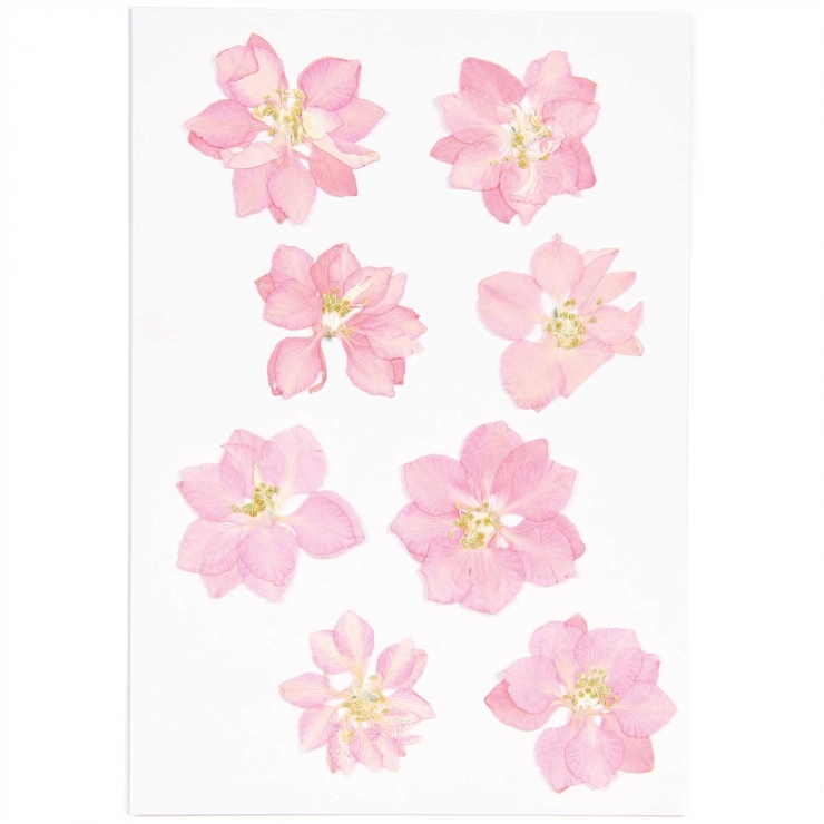 Delphinium pink (8pcs) - (flores prensadas)