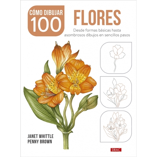Como dibujar 100 flores