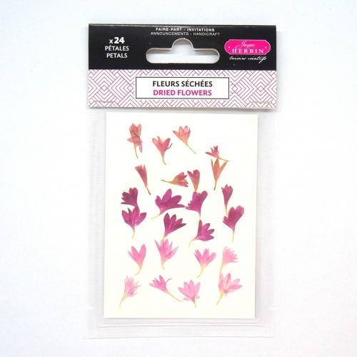 Pétalos bleuet secos rosa...