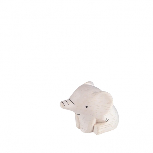 Elefante child Pole Pole...