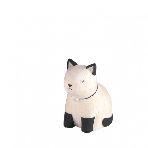 Gato siamés child Pole Pole...