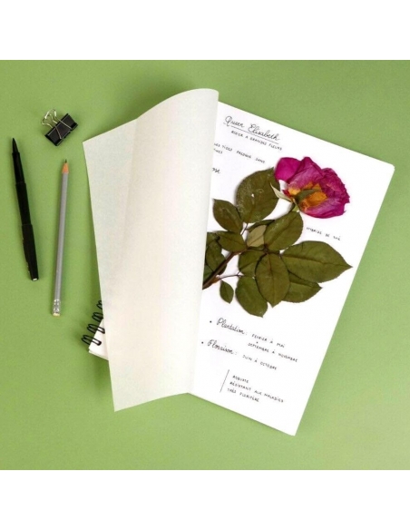 Cuaderno para herbario 21x21cm, A4 o 24x32cm