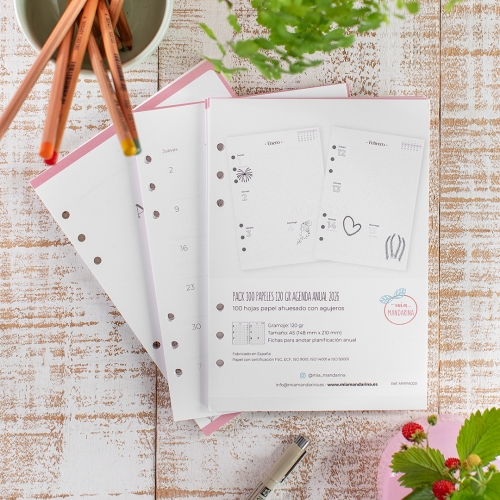 Recambio Agenda Anual...