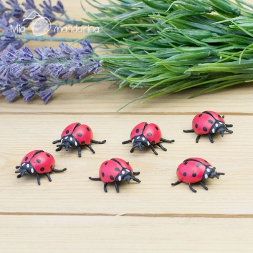 5 Minis Mariquitas