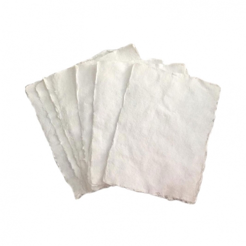 Pack 10 hojas 24 x 36 cm...